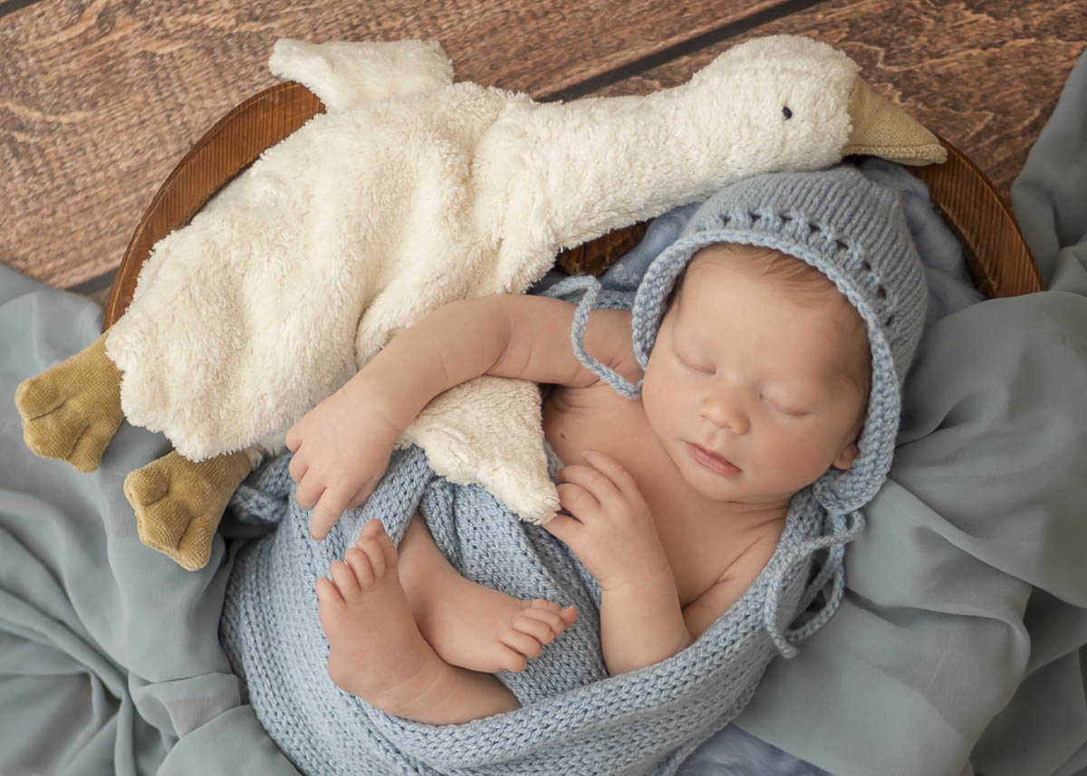 Newborn Baby Nicole Dietrich Fotografie Regensburg Familienfotografin ( Von ) Newborn Baby Nicole Dietrich Fotografie Regensburg Familienfotografin ( Von )